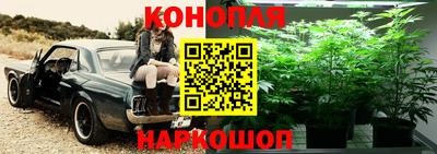 индика Ярцево