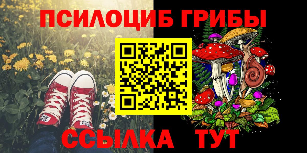 Псилоцибиновые грибы Magic Shrooms Тихвин
