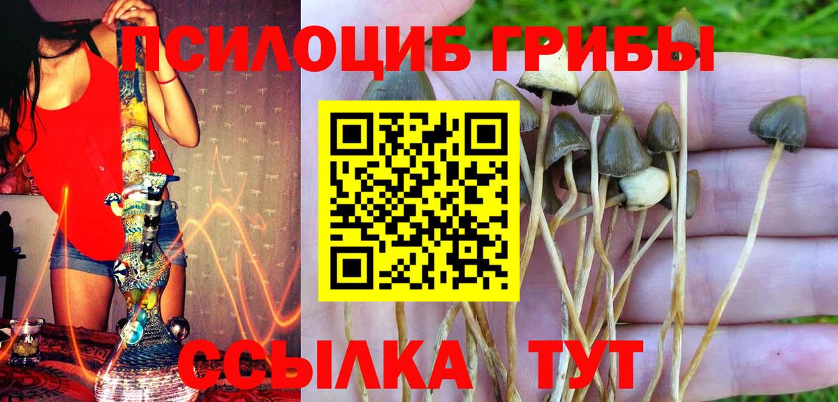 Галлюциногенные грибы мухоморы  Вход с VPN  Псилоцибиновые грибы мухоморы  Тихвин 